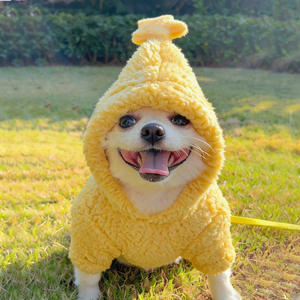 Pyjama pour petit chien et chat Star Prince, veste à capuche en polaire épaisse et chaude, veste d'hiver, vêtements mignons pour chiot Bichon Pomeranian - Product Image 6