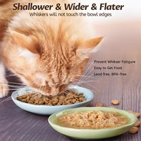Bol à nourriture pour chat en céramique élégant et personnalisé, fond en silicone anti-déversement, assiettes peu profondes et larges pour chatons, plats sains pour chats, étanche IPX5
