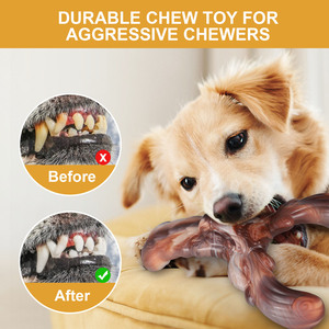 Evcil Hayvan Oyuncağı Köpek Kemiği Molar Çubuk Çiğneme Dayanıklı Köpek Oyuncağı İnteraktif Eğitim Malzemeleri - Product Image 4