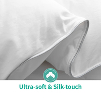Offre Spéciale Couette Hiver Biologique Climatisée en Plumes d'Oie/Canard Hilton Écologique Vente en Gros