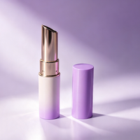 Kundenspezifisches Logo Leere Lippenstift-Hülle OEM ODM Matt Mehrfarbige Plastik-Lidschattenpalette Kosmetikbehälter Heißprägung Großhandel