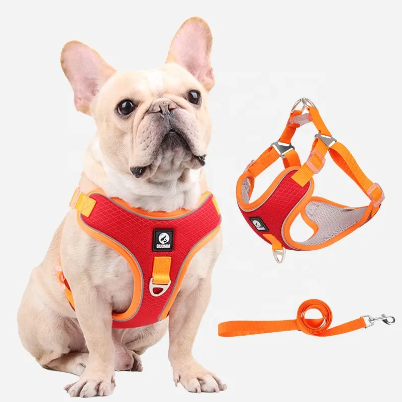 Petto da allenamento per tutto il corpo che tira forte protezione di vendita calda sicurezza Logo personalizzato Design pettorina da trekking per cani da compagnia