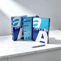 Offre Spéciale Papier Copie A4 100% Pâte de Bois Vierge 70g/m² 75g/m² 80g/m² Lisse Anti-transfert Blanc Fournisseur Usine Shandong