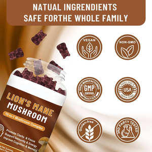 Suppléments à base de plantes multivitaminées OEM Hericium Erinaceus pour adultes pour améliorer la fonction cognitive et nourrir le cerveau - Product Image 3