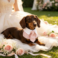 Nouveau design : Ensemble collier et bandana pour chien, style smoking, pour mariage et fête, accessoire de cosplay de luxe