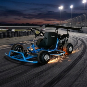Carrito de Derrape Clásico Azul 200CC, Motor de Gasolina de 4 Tiempos, Chasis de Acero, Frenos de Disco Hidráulicos, Ruedas de 5 Pulgadas, Transmisión por Cadena, Uso en Exteriores, <span class=keywords><strong>Go</strong></span>-Kart - Product Image 1