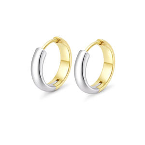 Pendientes de Acero de Titanio de Dos Colores, Estilo Europeo y Americano, Novedad de Otoño e Invierno 2024, Gran Venta, Estilo Ligero y Lujoso - Product Image 5