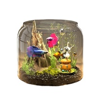 Aquarium transparent pour tortues et poissons rouges, petit ornement de bureau pour plantes vertes, idéal pour la maison et le salon