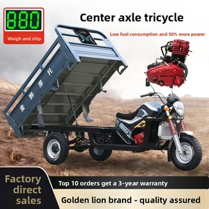 Motocicleta de Tres Ruedas Motorizada Personalizada con Eje Central, <span class=keywords><strong>Triciclo</strong></span> de Carga a Gasolina Golden Lion - Product Image 4