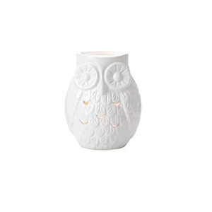 Vente en gros de brûleur d'huile usée en céramique de parfum en forme d'<span class=keywords><strong>aigle</strong></span> blanc - Product Image 6