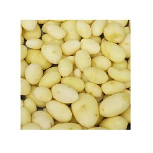 Brosse automatique Machine à laver Lotus racine/carotte/pomme de terre/oignon Machine à éplucher les fruits Nettoyeur de légumes - Product Image 6