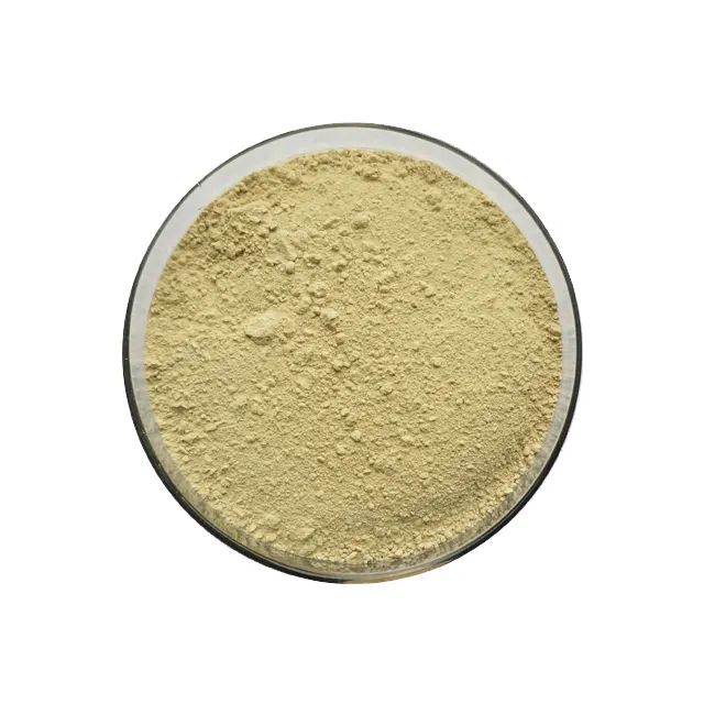 Factory Sell Top Quality Astragalus Root Extract