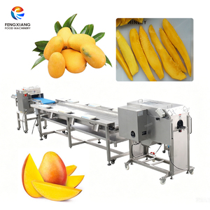 Ligne de production semi-automatique de transformation de mangues équipée d'une machine à dénoyauter les mangues, d'une <span class=keywords><strong>table</strong></span> de découpe manuelle et d'une machine à trancher - Product Image 1