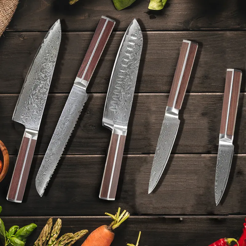 Set De Cuchillos 5 pezzi Set Messer 67 strati in acciaio damasco forgiato cucina professionale Set di coltelli da Chef con manico in palissandro
