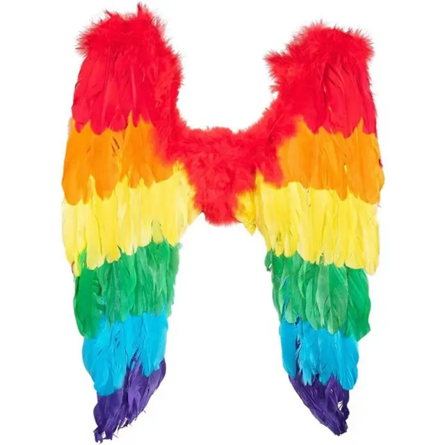 Large Rainbow Wings Ladies Fancy Dress Photo Props Colorful Angel Feather Wings for Women Party Costume Accessory
