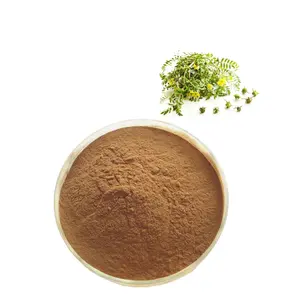 ISO fabbrica fornitura naturale Tribulus terrestre estratto 40% In polvere prezzo a buon mercato e grande quantità In magazzino per la vendita