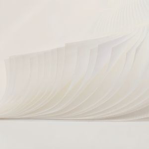 Membran <span class=keywords><strong>RO</strong></span> triko pengalihan triko dari membran pengobatan air bergulir - Product Image 5