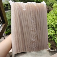 Pailles en fibre de canne à sucre 24H sans humidification, écologiques et durables pour la consommation, idéales pour les cafés, bars, traiteurs – Prix usine