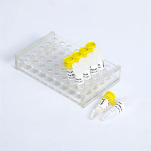 Mistura SYBR <span class=keywords><strong>Green</strong></span> QPCR DNA <span class=keywords><strong>PCR</strong></span> em Tempo Real P2092 1ml X5 - Product Image 6