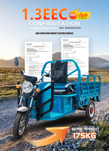 Keyu Electric Cargo Tricycle 800W EEC 400KG Load Carrying Capacity Load Open Type Electric 3 Wheel Tricycle - Product Image 3