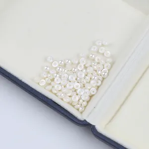 Button Shape Wholesale High Quality Mother Of Pearl Shell Pearls Beads