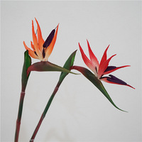 Luxe Real Touch Fleurs Brid Paradise Tiges Haute Qualité Oiseau Paradis Fleur Pour Jardin Maison Mariage Événements