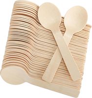 Cuillères en bois jetables personnalisées, logo sur mesure, cuillères à dessert en bois de bouleau pour la promotion de la marque, restauration et traiteur