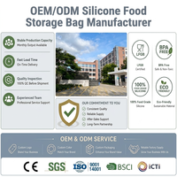 Sac de conservation alimentaire réutilisable en silicone platine, avec logo personnalisé, étanche, tailles et couleurs personnalisables, fermeture magnétique LFGB, pour congélateur, vente en gros