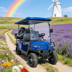 Voiturette de golf électrique 6 places neuve à prix de gros, buggy de chasse personnalisé avec sièges de luxe à vendre - Product Image 2