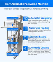 Machine d'emballage verticale entièrement automatique QS pour chips de pommes de terre avec injection d'azote, machine de remplissage et d'emballage pour chips de banane et chips de plantain