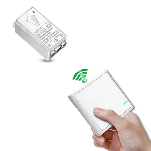 220V/110V 1 chiave digitale senza fili a distanza interruttore di controllo della lampada della luce per interruttore di controllo remoto per smart casa