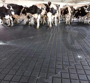 Stuoie di mucca in gomma per la vendita/bestiame tappetino di gomma per vacche da latte stabile/tappetino per cubicolo - Product Image 1