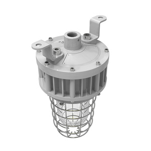Projecteur antidéflagrant Classe 1 Division 1 UL844 avec globe en verre et protection en acier inoxydable 20W 30W 40W homologué UL ETL - Product Image 5