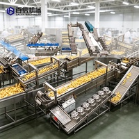 Ligne de production de frites à petite échelle 100 kg/h Machine de traitement de frites surgelées entièrement semi-automatique