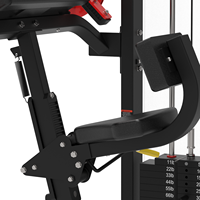 China Commercial Gym Strength Fitness Equipment Dual Functional Trainer Biceps Triceps Curl Extension Machine para Body Building