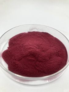Poudre d'extrait de baies d'<span class=keywords><strong>aronia</strong></span>, poudre d'extrait de jus de fruit de chokeberry, anthocyanes 25% 4:1 10:1 20:1, soluble dans l'eau - Product Image 2