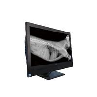 Appareil de radiographie vétérinaire IN-V1600 Rx sans fil numérique portable avec table Bucky