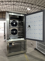 Hoog rendement automatische verdampingswater industriële commerciële flashvriezer shock cryogene IQF plaatvriezer