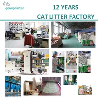 Litière pour chat en tofu biodégradable, écologique, à base d'amidon de maïs, sans odeur, sans poussière, facile à nettoyer, vente en gros directe usine, ODM, OEM
