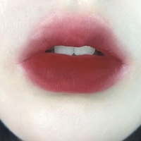 Gloss à lèvres mat velouté, couleur naturelle douce, éclaircissant et rehausseur de couleur, rouge à lèvres vibrant pour femme avec motif filigrane