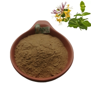 Poudre d'acide chlorogénique naturel pur HPLC 99% soluble dans l'eau, extrait de fleur de chèvrefeuille Lonicera Japonica en poudre 10:1 CAG 5%- 98% - Product Image 3