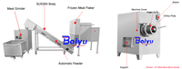 Machine à hacher la viande de bœuf congelée automatique Baiyu, acier inoxydable 304, hachoir à viande électrique pour l'industrie agroalimentaire