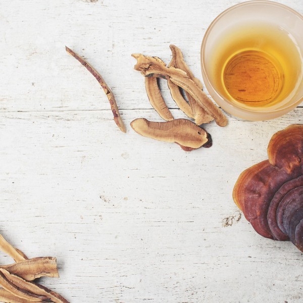 GANOHERB Blended Herbal Tea OEM Private Label Organic Ganoderma Lucidum 1.5g 25 Bags Box Immunity Boosters Health Tea