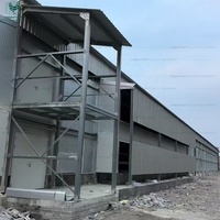 Estructura de Acero Estándar ISO para Gallineros, Moderna Granja Avícola Prefabricada para la Cría de Gallinas Ponedoras