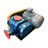 Souffleur Roots électrique à entraînement par courroie haute pression avec moteur AC pour générateur d'ozone, source de gaz, faible bruit, en fonte, personnalisable OEM