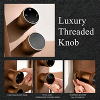 Ensemble de douche mural multifonctionnel de luxe en laiton avec fonction massage SPA pour hôtels et appartements