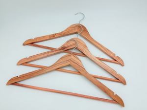 Cintres en bois de cannelle naturelle, écologiques et durables, <span class=keywords><strong>moins</strong></span> chers, option lot en gros, logo personnalisé disponible, pour magasin de vêtements moderne en carton - Product Image 4