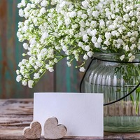 Buket Gypsophila Bunga Buatan Mirip Asli Bertema Langit Berbintang dengan Batang Hijau untuk Dekorasi Pernikahan, Fleksibel untuk Rangkaian Bunga DIY