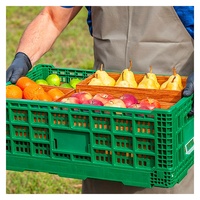 Caisse pliante de haute qualité et au meilleur prix au Vietnam, caisse en plastique pliable 600x400x220, panier à fruits en maille