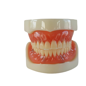Modelo de Práctica de <span class=keywords><strong>Implantes</strong></span> <span class=keywords><strong>Dentales</strong></span> para Prótesis Totales, Modelo de Enseñanza de Prótesis Orales, Modelo Anatómico de <span class=keywords><strong>Implantes</strong></span> <span class=keywords><strong>Dentales</strong></span> - Product Image 1